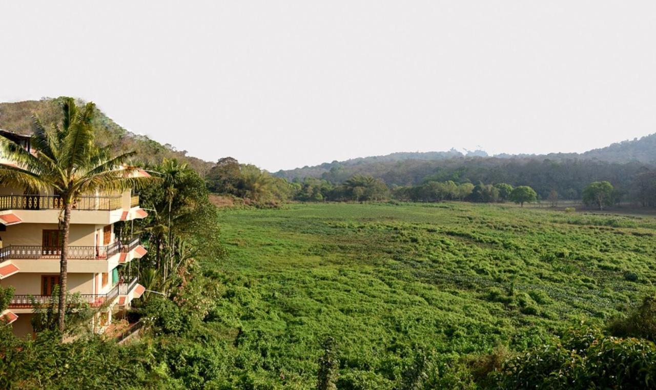 Jungle Palace Homestay Thekkady Εξωτερικό φωτογραφία