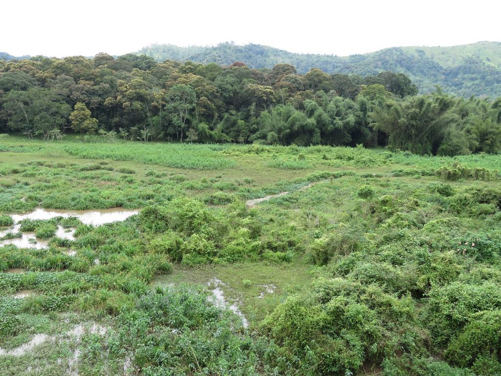 Jungle Palace Homestay Thekkady Εξωτερικό φωτογραφία