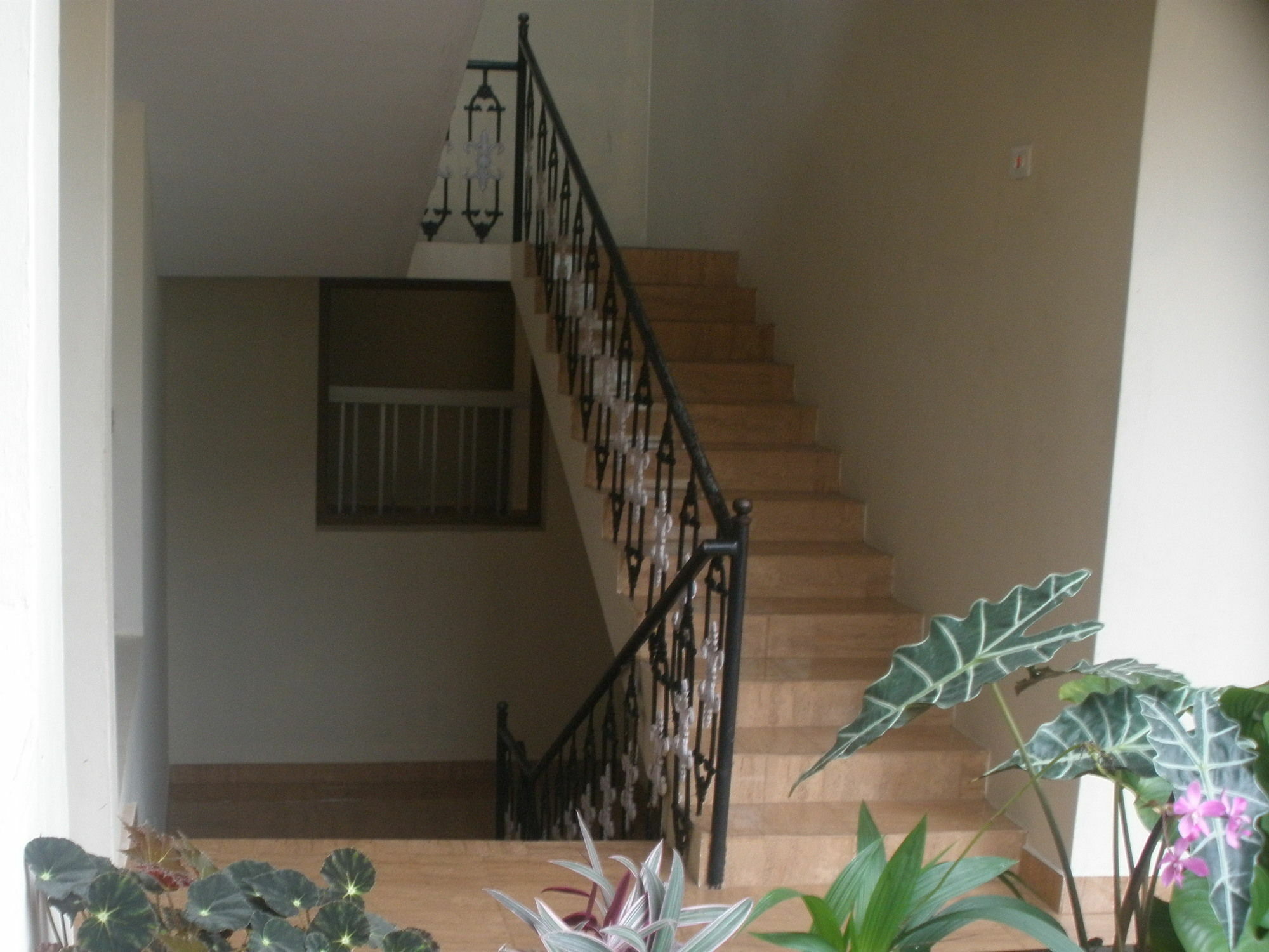 Jungle Palace Homestay Thekkady Εξωτερικό φωτογραφία